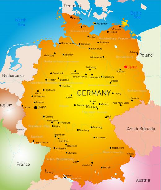 Chanterelles are harvested for commercial sale and shipment in Germany.