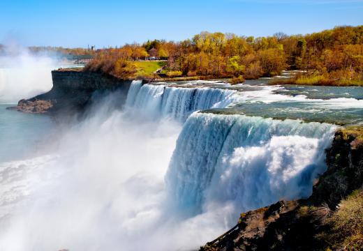 Niagara grapes originated in Niagara County, New York.