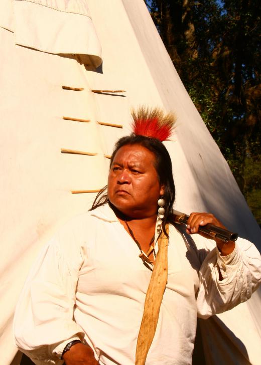 Bison have long been important to Native American culture, as they provide food, shelter, and clothing.