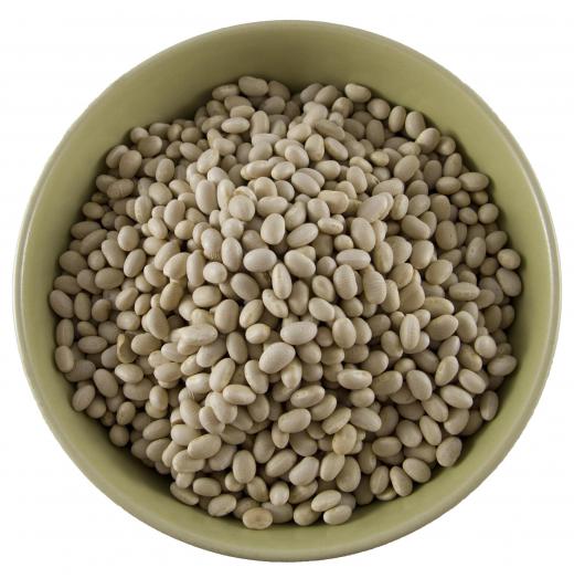 Navy beans, which are used to make Boston baked beans.