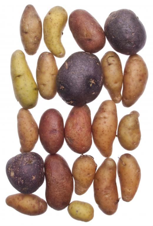 Various types of potatoes, including some with sprouts.