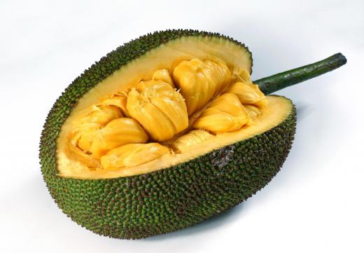 The sticky, sweet-tasting bulbs inside a jackfruit are edible raw or cooked.