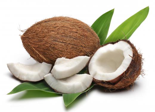 Coconut milk is derived from the flesh of a coconut.