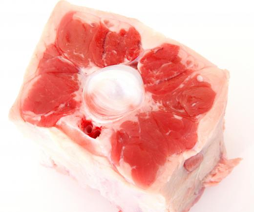 An oxtail segment.