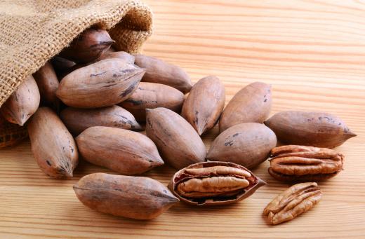 Xylose can be found in pecan shells.