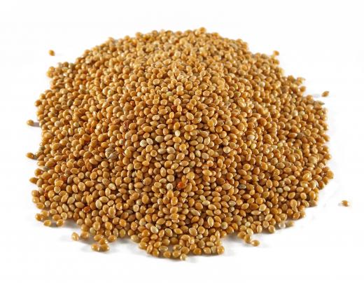 Pile of sorghum grain.