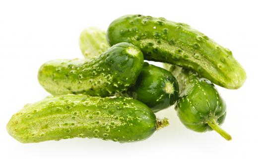 A pile of pickling cucumbers.