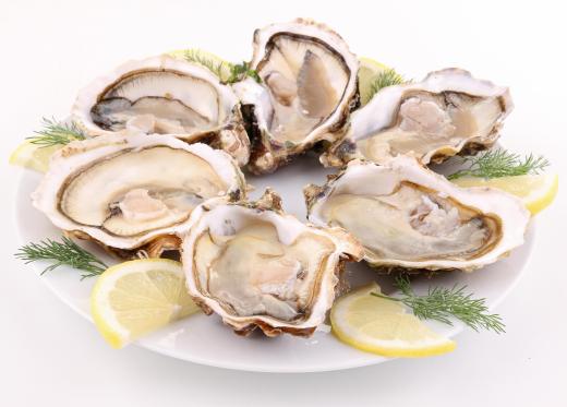 A plate of raw oysters on the half shell.