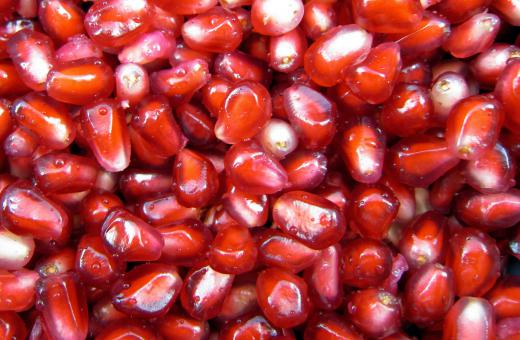 Pomegranate seeds are often added into chicory salad.