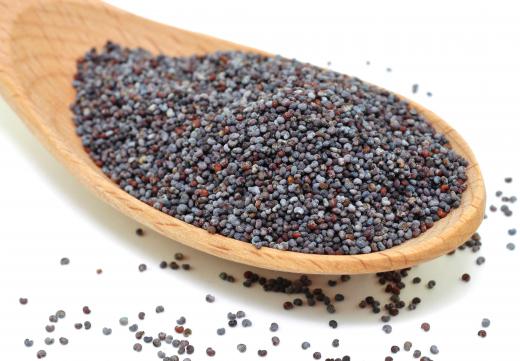 Poppy seeds, which are sometimes included in curry paste.