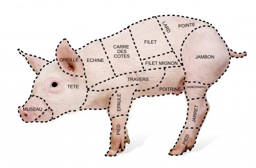 A pork meat chart showing the different cuts of meat and where they come from on a pig.