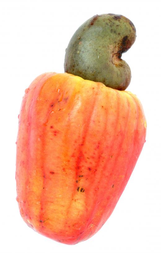 cashew apple fruit