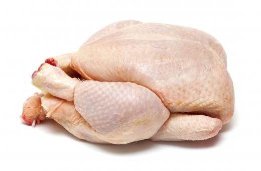 A chicken, which is used to make canja de galinha.