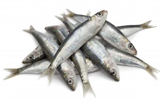 Sardines -- a type of small fish in the herring family -- are rich in calcium and other minerals, vitamin D, and omega-3 fatty acids.