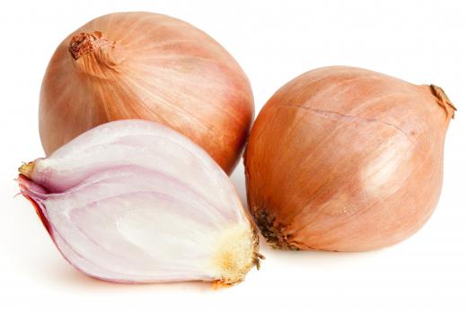 Chopped shallots can be used to make onion relish.