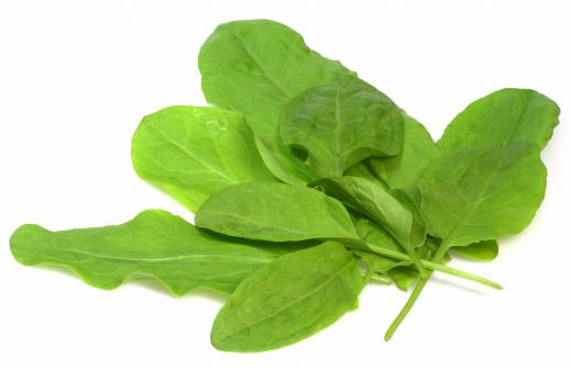 Sorrel leaves, a type of salad green.