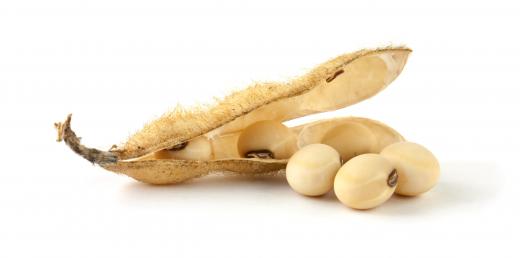 When soybeans are pureed to make soy milk, the process leaves behind a byproduct known as okara.