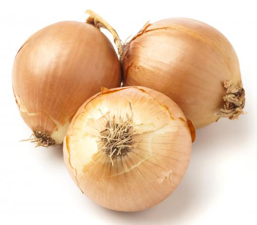 Spanish onions are large and round.