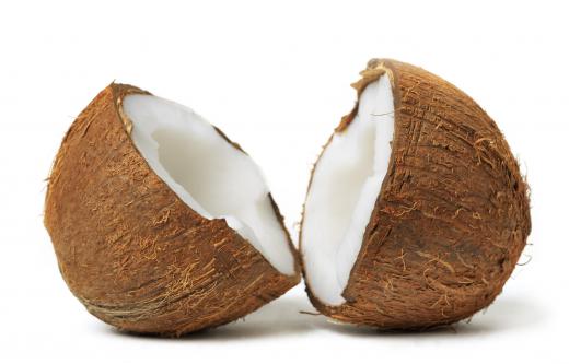 A coconut's husk is the exterior shell.