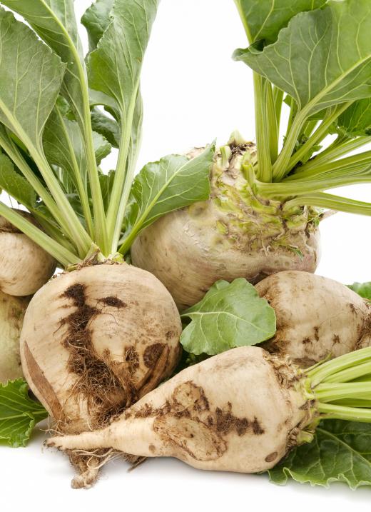 Sugar beets are one of the best examples of a food that contains galactose.