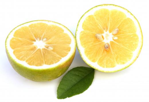 A bergamot orange.