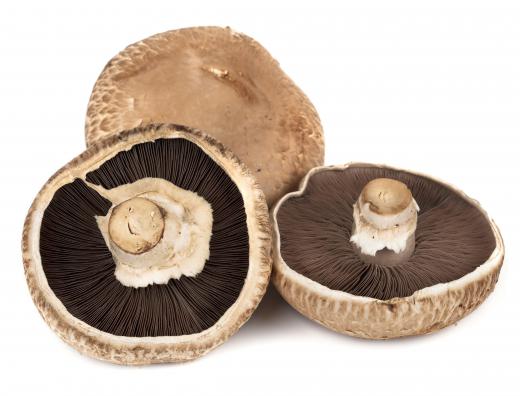 Mushrooms have unbound glutamate molecules, which is why they are sometimes used to enhance flavors.