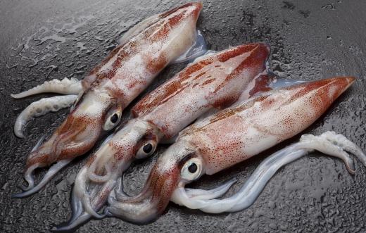 The squid used for calamari steaks can be either fresh or frozen.