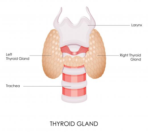 Lauric acid, which is an ingredient found in unrefined coconut oil, may help prevent hypothyroidism.