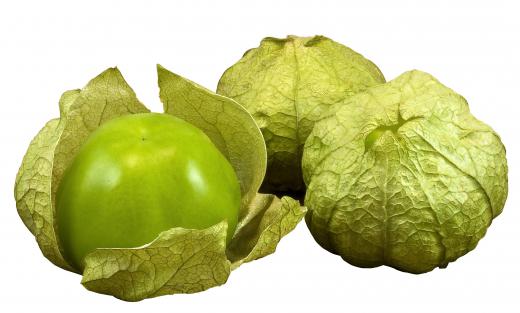 The tomatillo fruit is green and enclosed in a papery husk.