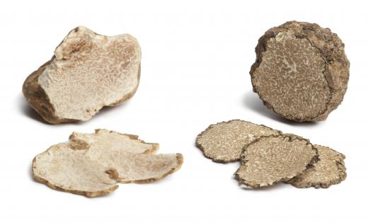 Often, a truffle is lightly shaved on top of the pressed duck dish before serving.