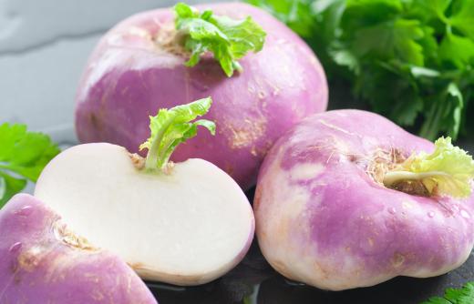 Turnips are edible and cultivated all over the world.