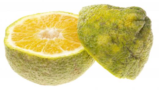 Ugli® is a tangelo variation that involves a cross between a grapefruit, a tangerine and an orange.