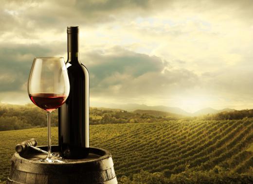 The process of making wines from grapes dates back thousands of years.