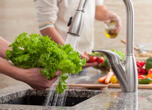 Leaf lettuce grows individually on stems.