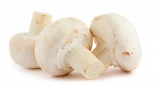 Mushrooms are a common ingredient in vegetarian dishes.