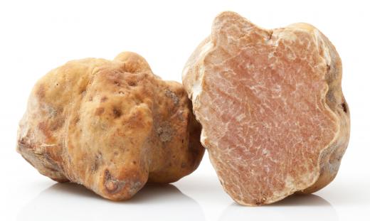 White truffles.