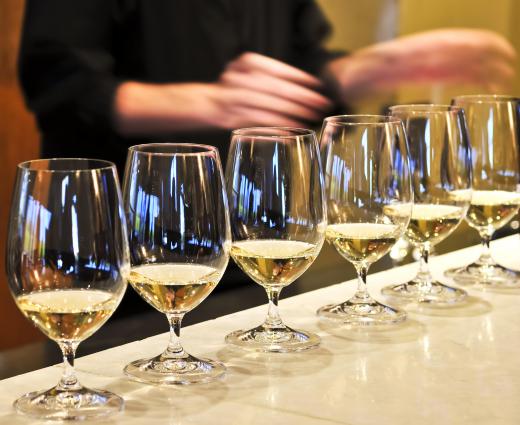 Glasses of white wine at a wine evaluation event.