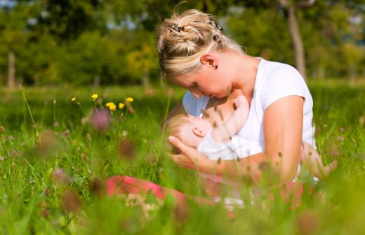 Breast milk contains a high amount of probiotic cultures.