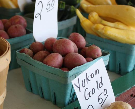 The Canadian "Yukon Gold" potatoes are particularly prevalent yellow potatoes.